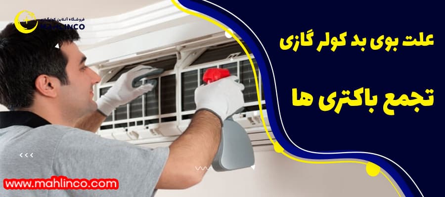 تجمع باکتری ها